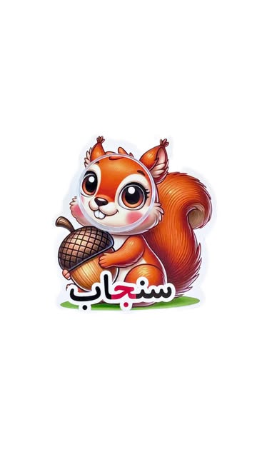 گیفت سنجاب